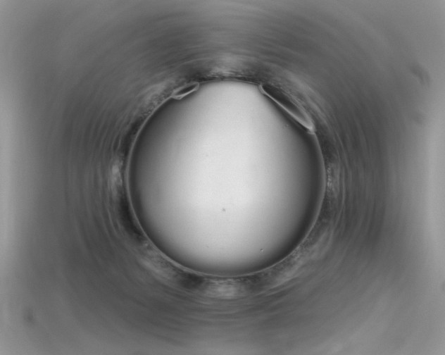 X0000115710127200911121433