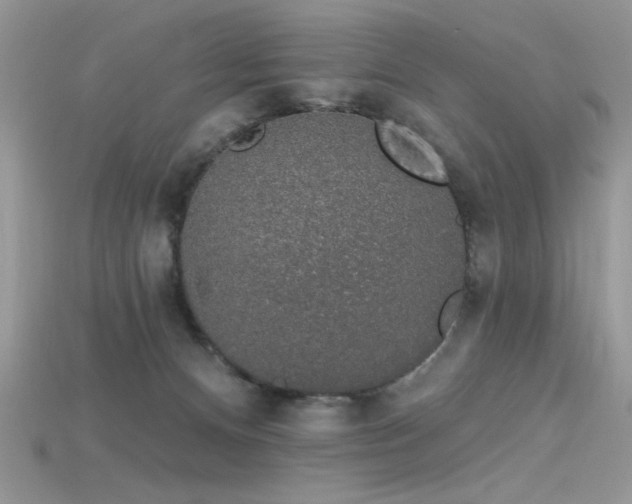 X0000115710128200911121433