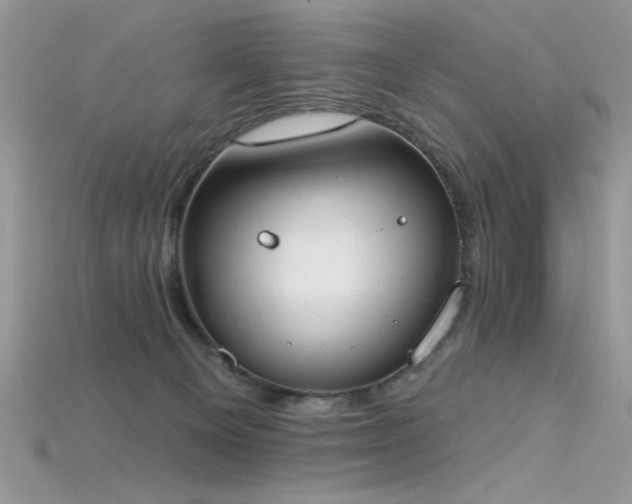 X0000115710129200911121433