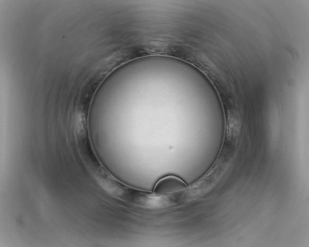 X0000115710130200911121433