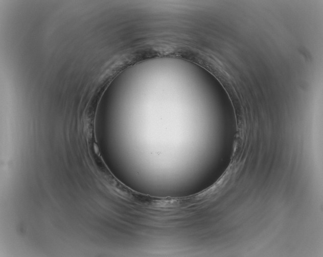 X0000115710136200911121433