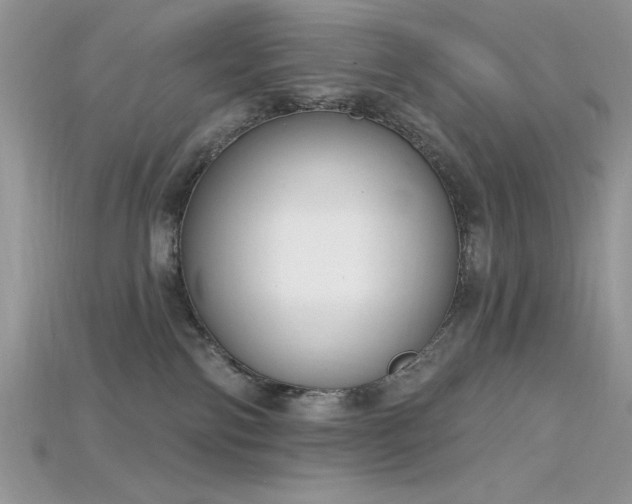 X0000115710138200911121433