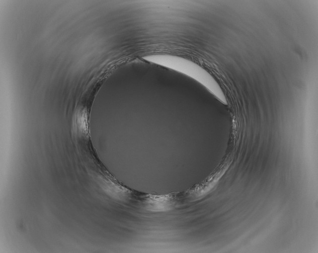 X0000115710143200911121433