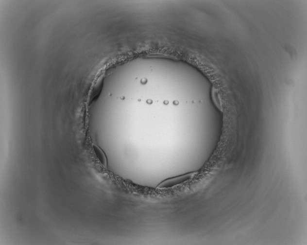 X0000115710144200911121433