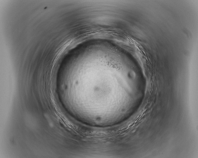 X0000115710145200911121433