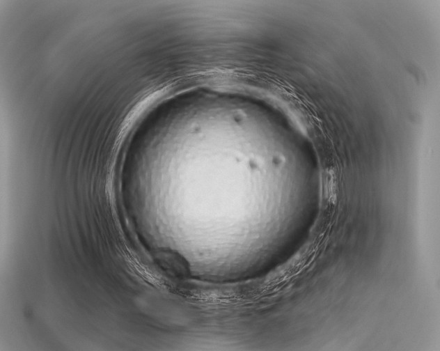 X0000115710147200911121433