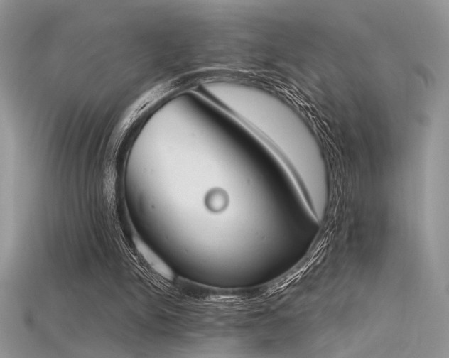 X0000115710150200911121433