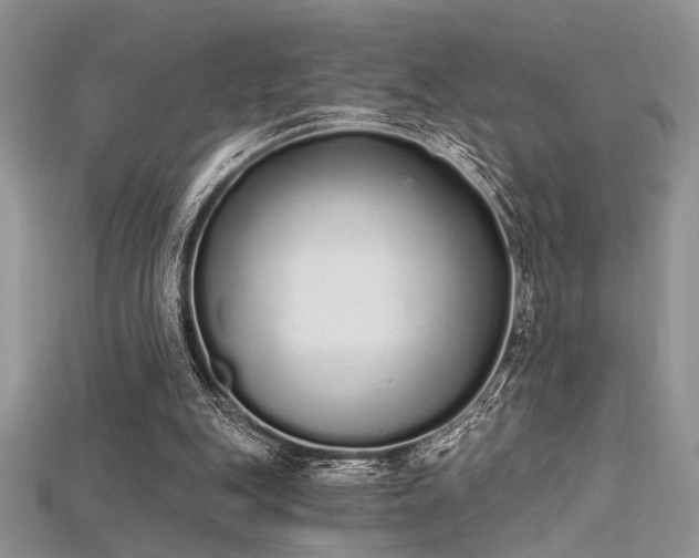 X0000115710151200911121433