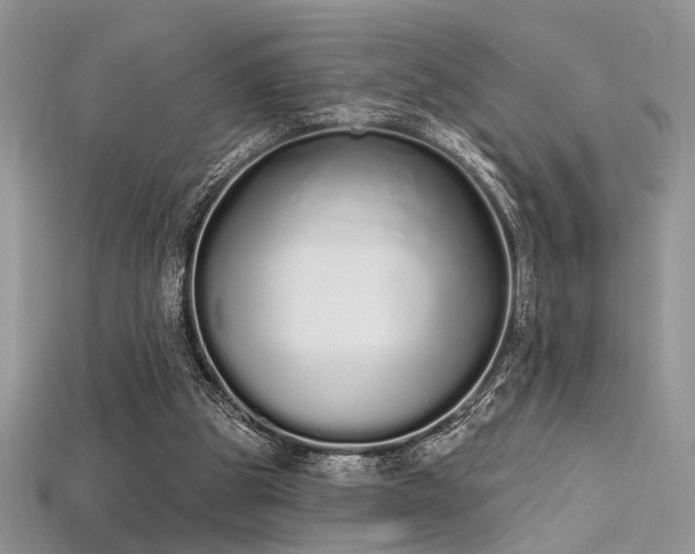 X0000115710153200911121433