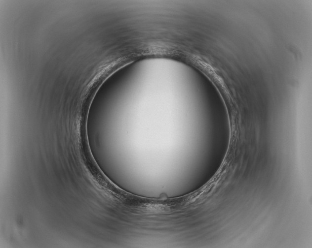 X0000115710154200911121433