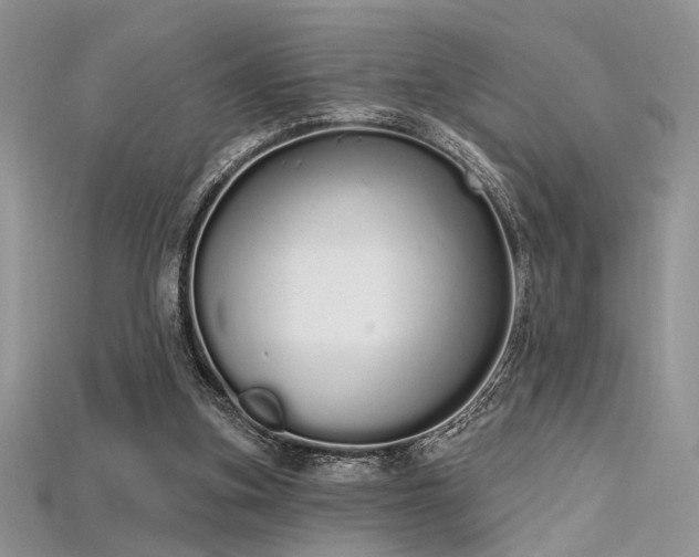 X0000115710155200911121433