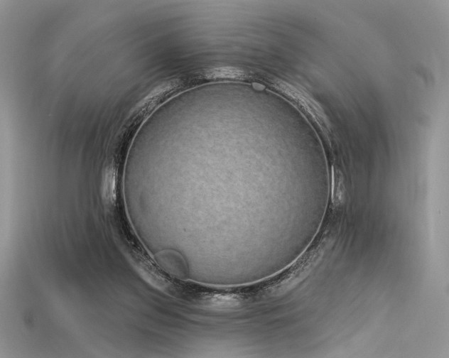 X0000115710157200911121433