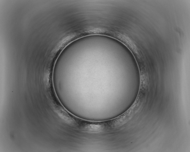 X0000115710159200911121433