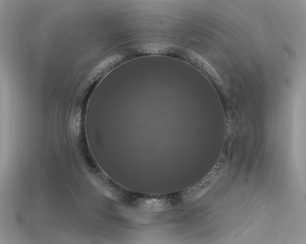 X0000115710163200911121433