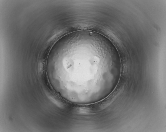 X0000115710165200911121433