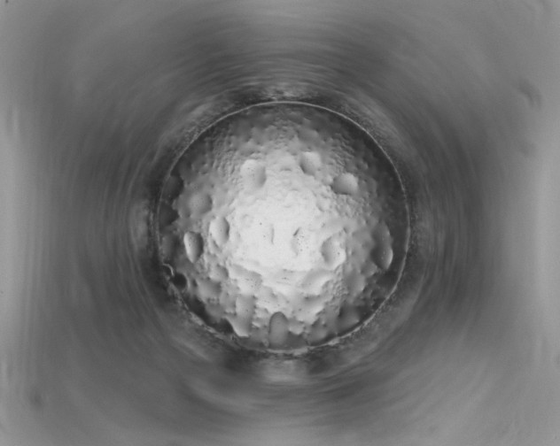 X0000115710169200911121433