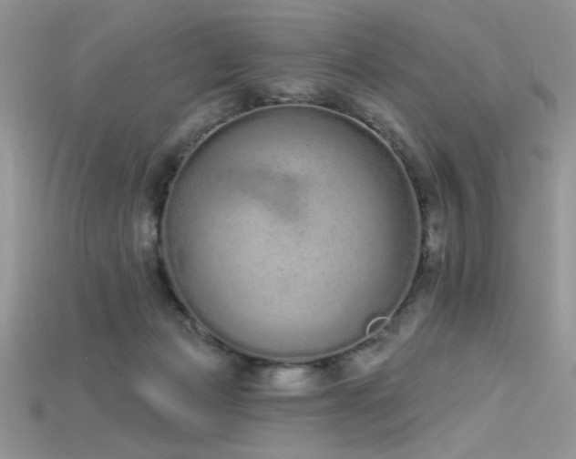 X0000115710173200911121433