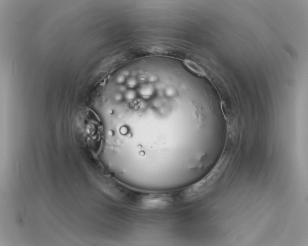 X0000115710175200911121433