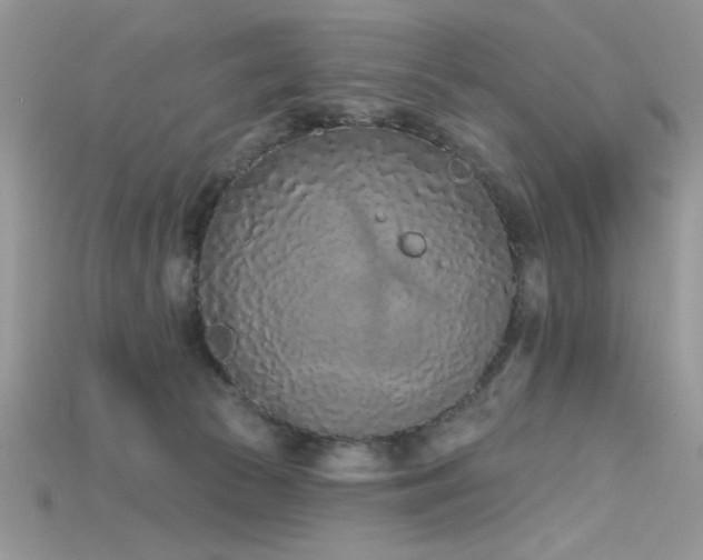 X0000115710177200911121433