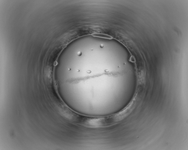 X0000115710178200911121433