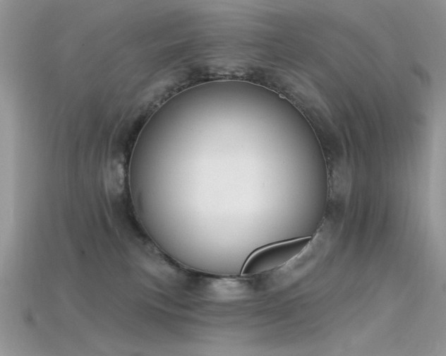 X0000115710183200911121433