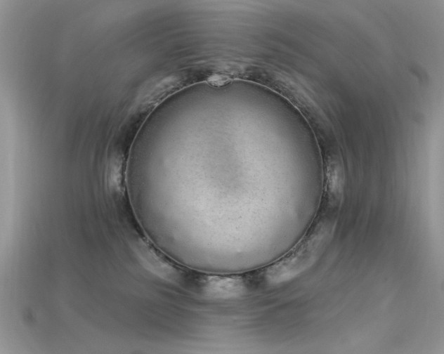 X0000115710185200911121433