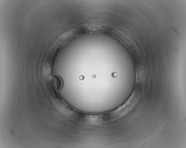 X0000115710187200911121433