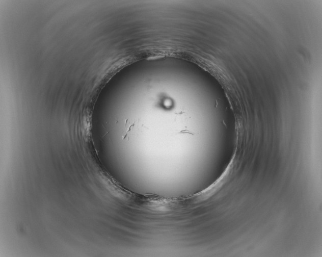 X0000115710190200911121433