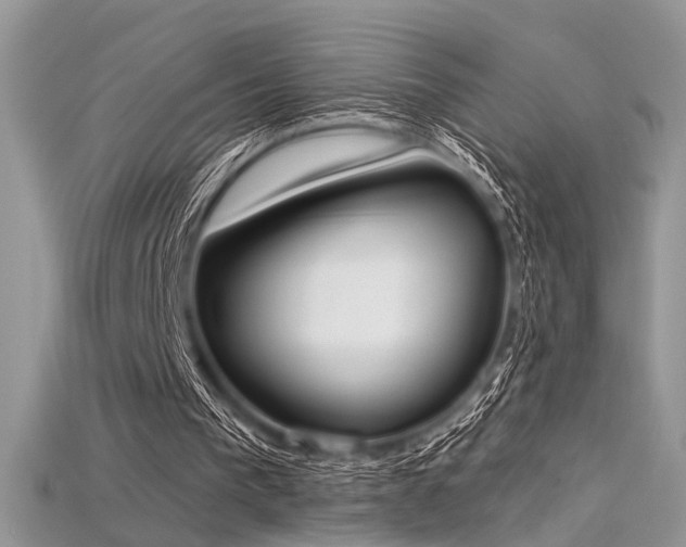 X0000115710193200911121432