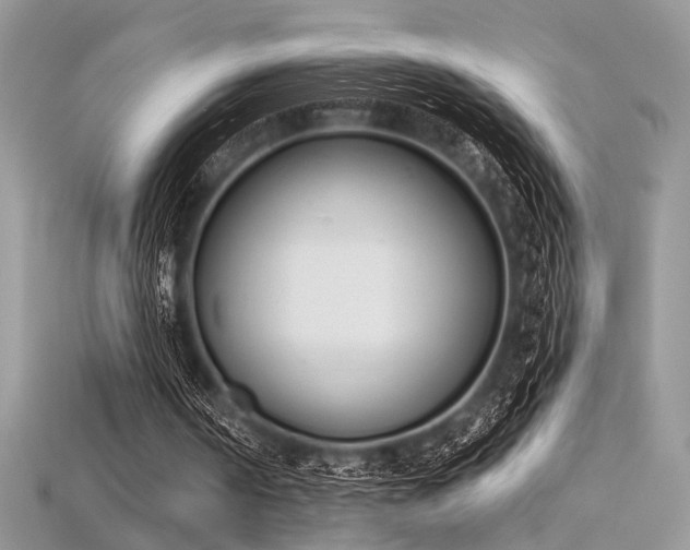 X0000115710194200911121432