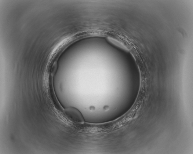 X0000115710197200911121432