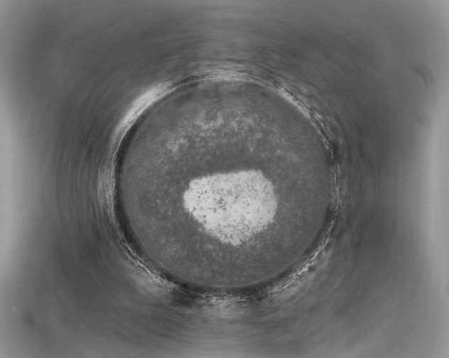 X0000115710199200911121432