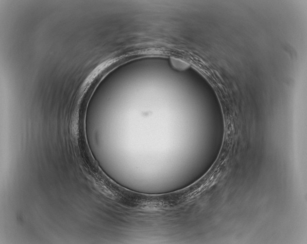 X0000115710200200911121432