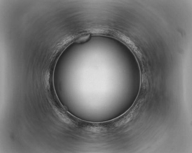 X0000115710201200911121432