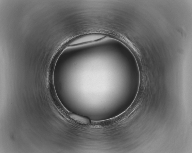 X0000115710203200911121432