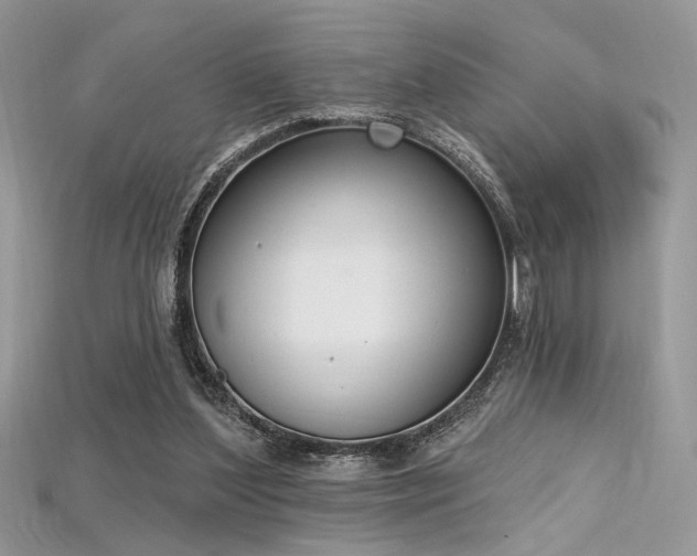 X0000115710204200911121432