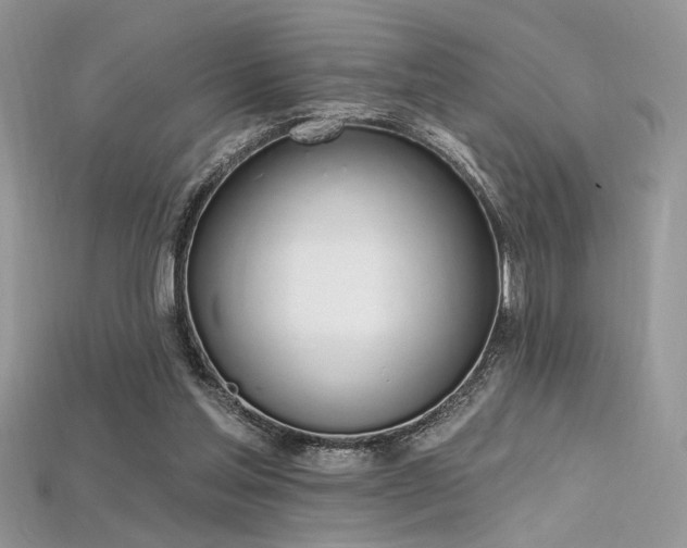 X0000115710205200911121432