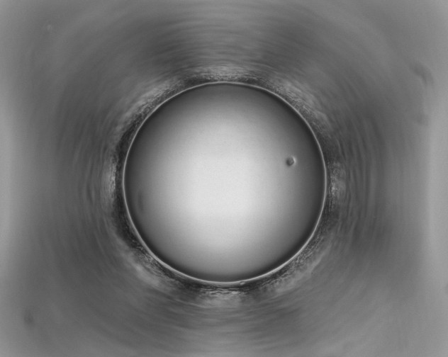 X0000115710206200911121432