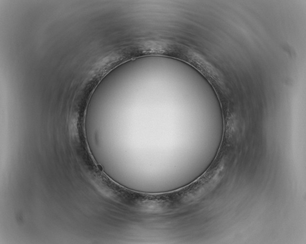 X0000115710209200911121432