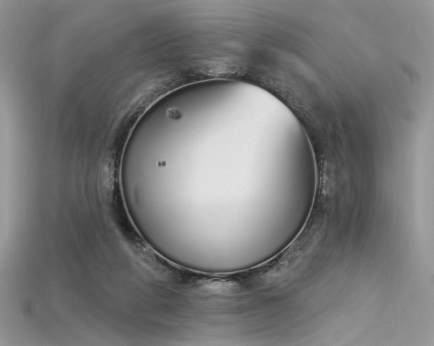 X0000115710210200911121432