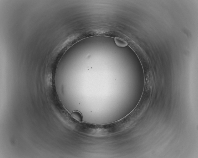 X0000115710212200911121432