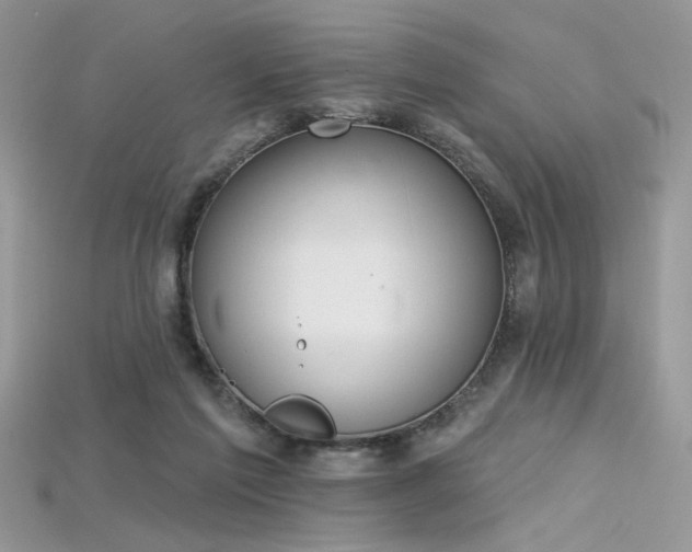 X0000115710213200911121432