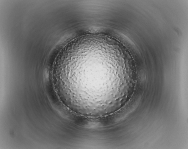 X0000115710214200911121432