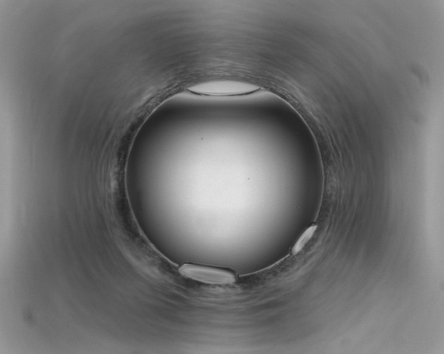 X0000115710215200911121432