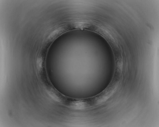 X0000115710219200911121432