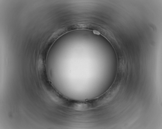 X0000115710220200911121432