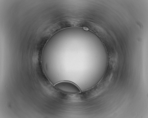 X0000115710221200911121432