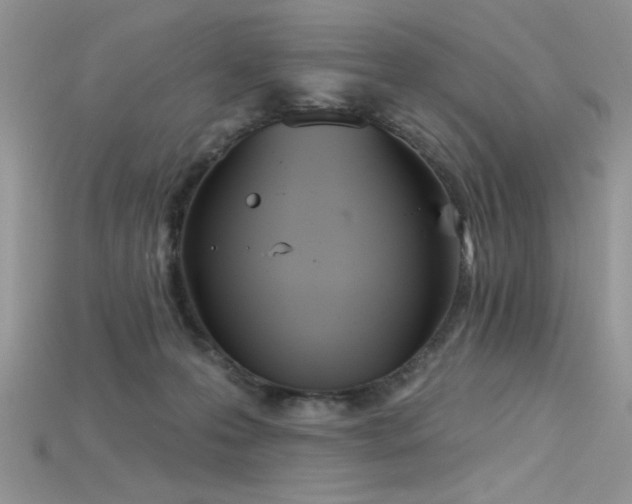 X0000115710223200911121432