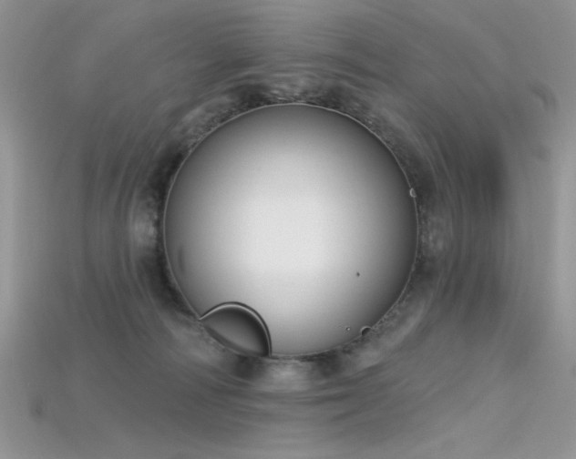 X0000115710226200911121432