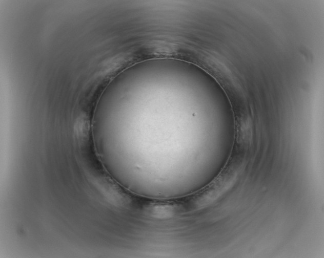 X0000115710228200911121432